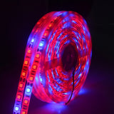 5m-300-LEDs-SMD-5050-Full-Spectrum-LED-Strip-Light-Fitolampy-Grow-Lights-for-Greenhouse-Hydroponic-Plant-Waterproof(5-Red-1-Blue)