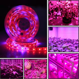 5m-300-LEDs-SMD-5050-Full-Spectrum-LED-Strip-Light-Fitolampy-Grow-Lights-for-Greenhouse-Hydroponic-Plant-Waterproof(5-Red-1-Blue)