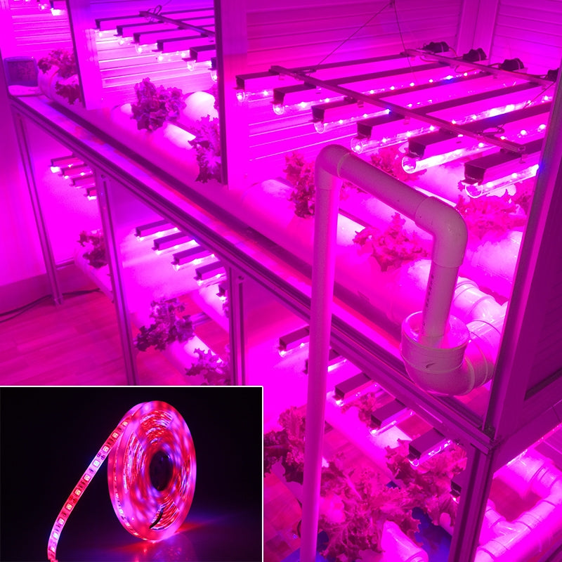 5m-300-LEDs-SMD-5050-Full-Spectrum-LED-Strip-Light-Fitolampy-Grow-Lights-for-Greenhouse-Hydroponic-Plant-Waterproof(5-Red-1-Blue)