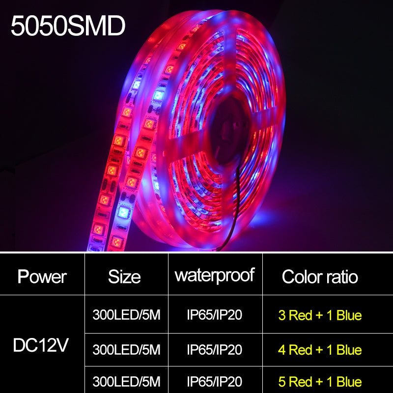 5m-300-LEDs-SMD-5050-Full-Spectrum-LED-Strip-Light-Fitolampy-Grow-Lights-for-Greenhouse-Hydroponic-Plant-Waterproof(5-Red-1-Blue)