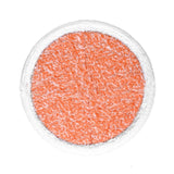 2 PCS Steam Mop Cleaning Replacement Cloth for Bissell 2124/2039A Series(Orange)