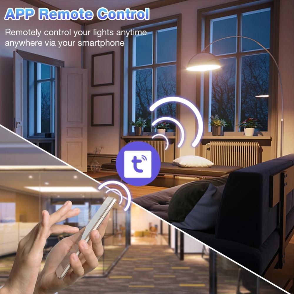 30A  Tuya WiFi Smart Switch Supports Amazon ALEXA/Google HOME Voice Control