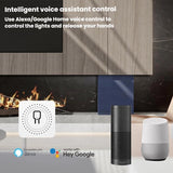 FS-02HW 2CH WiFi+Bluetooth 10A Smart Switch Voice Timer Switch For Amazon Alexa / Google Assistant
