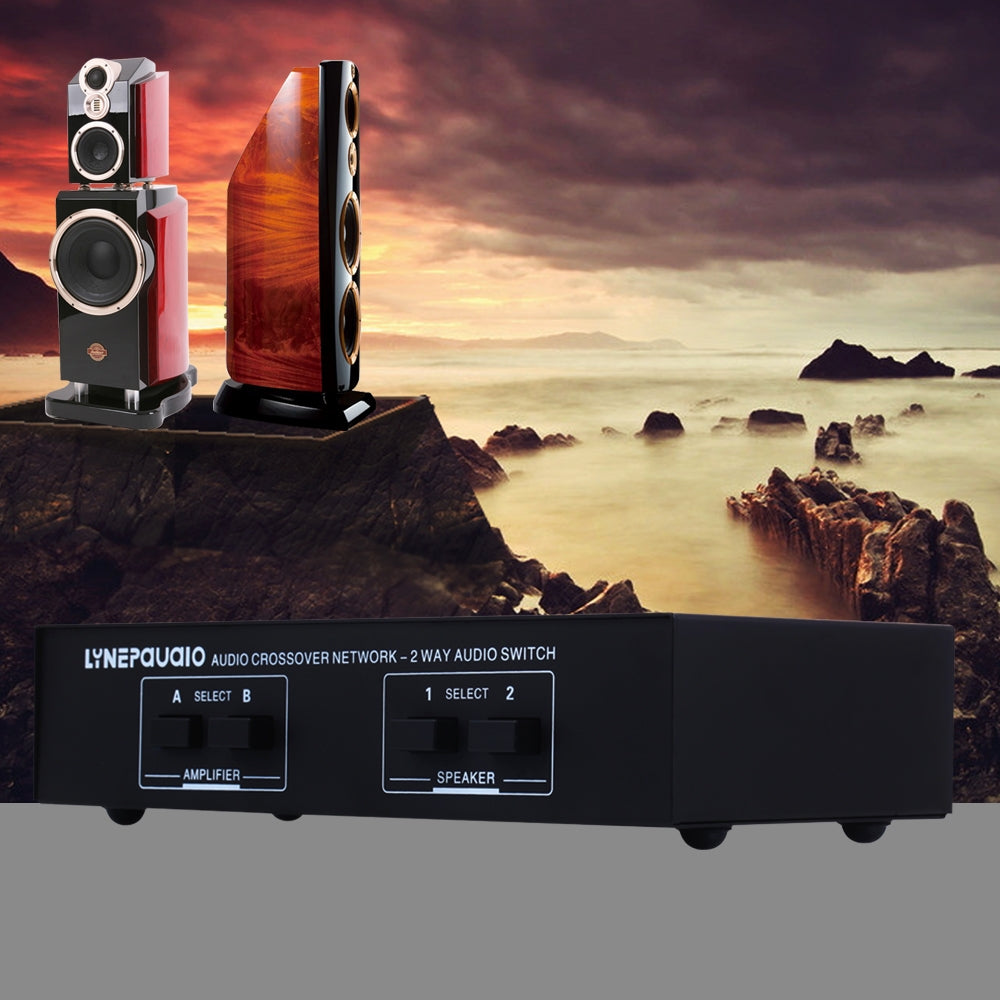 B822-Passive-Speaker-Switch-2-Channel-Power-Amplifier-Audio-Switch-Loudspeaker,-2-Input-and-2-Output(Black)