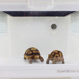 Digital-Round-Shaped-Reptile-Box-Centigrade-Thermometer-&-Hygrometer-with-Screen-Display-(Black)