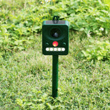Environmental-Friendly-White-+-Red-Light-Solar-powered-LED-Ultrasonic-Animal-Repeller-Bird-Cat-Dog-Control-Device-With-6.5V-/-0.1W-Solar-Panel-&-PIR-Sensor-&-Light-Sensor,-Got-the-CE-/-ROHS-Certification