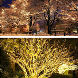LED-Llight-String-Outdoor-Waterproof-Christmas-Holiday-Garden-Decoration,-Length:-30m-300-Light(Warm-Light-USB)