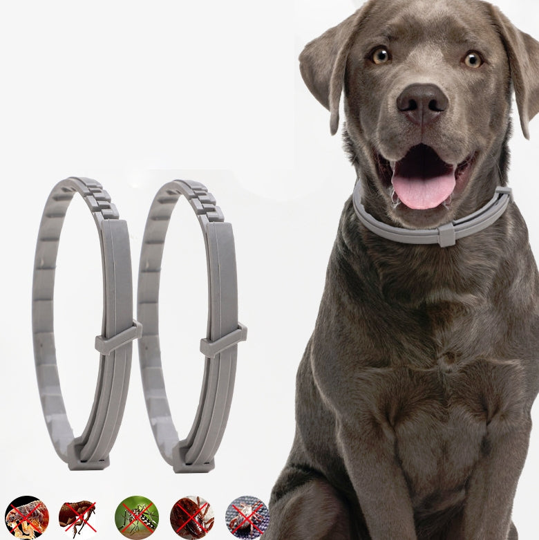 Pet-Flea-&-Anti-Lice-Collar-Pet-In-Vitro-Insect-Repellent-Ring,-Size:Cat/38cm