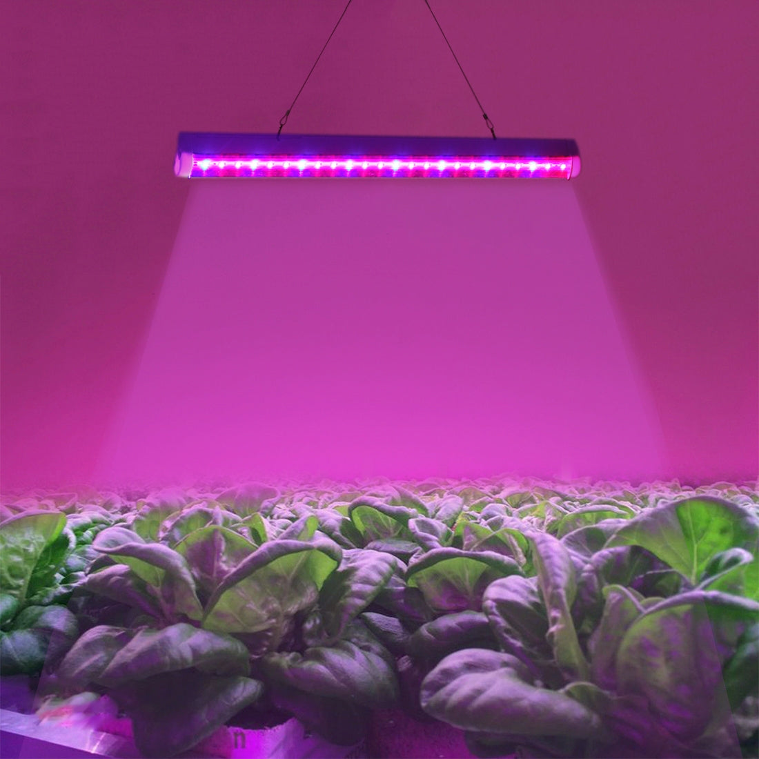 T5-4.8W-15-LEDs-Red-+-Blue-Plant-Growth-Light-Greenhouse-Light-Aquarium-Light