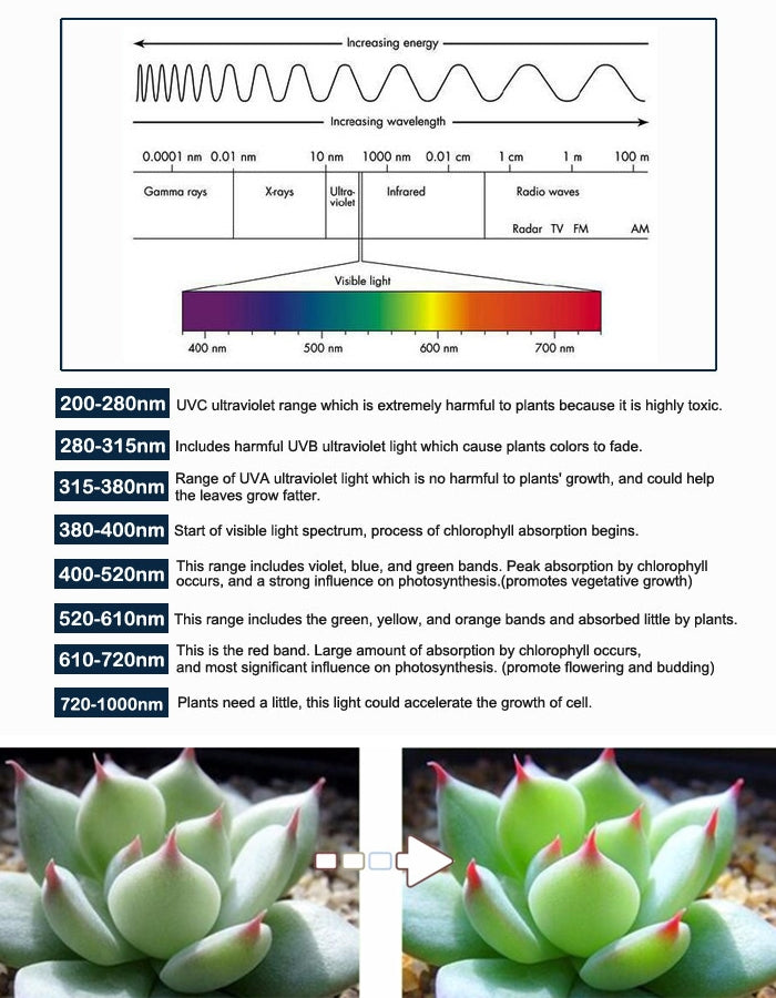 T5-4.8W-15-LEDs-Red-+-Blue-Plant-Growth-Light-Greenhouse-Light-Aquarium-Light